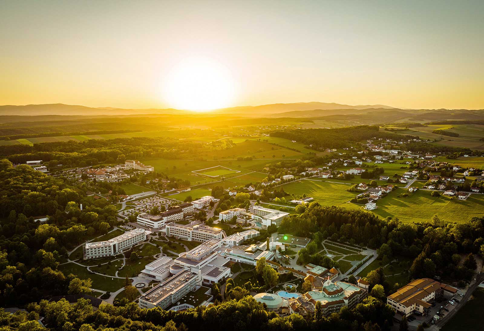 Karl Schrotter | Green Panther 2023