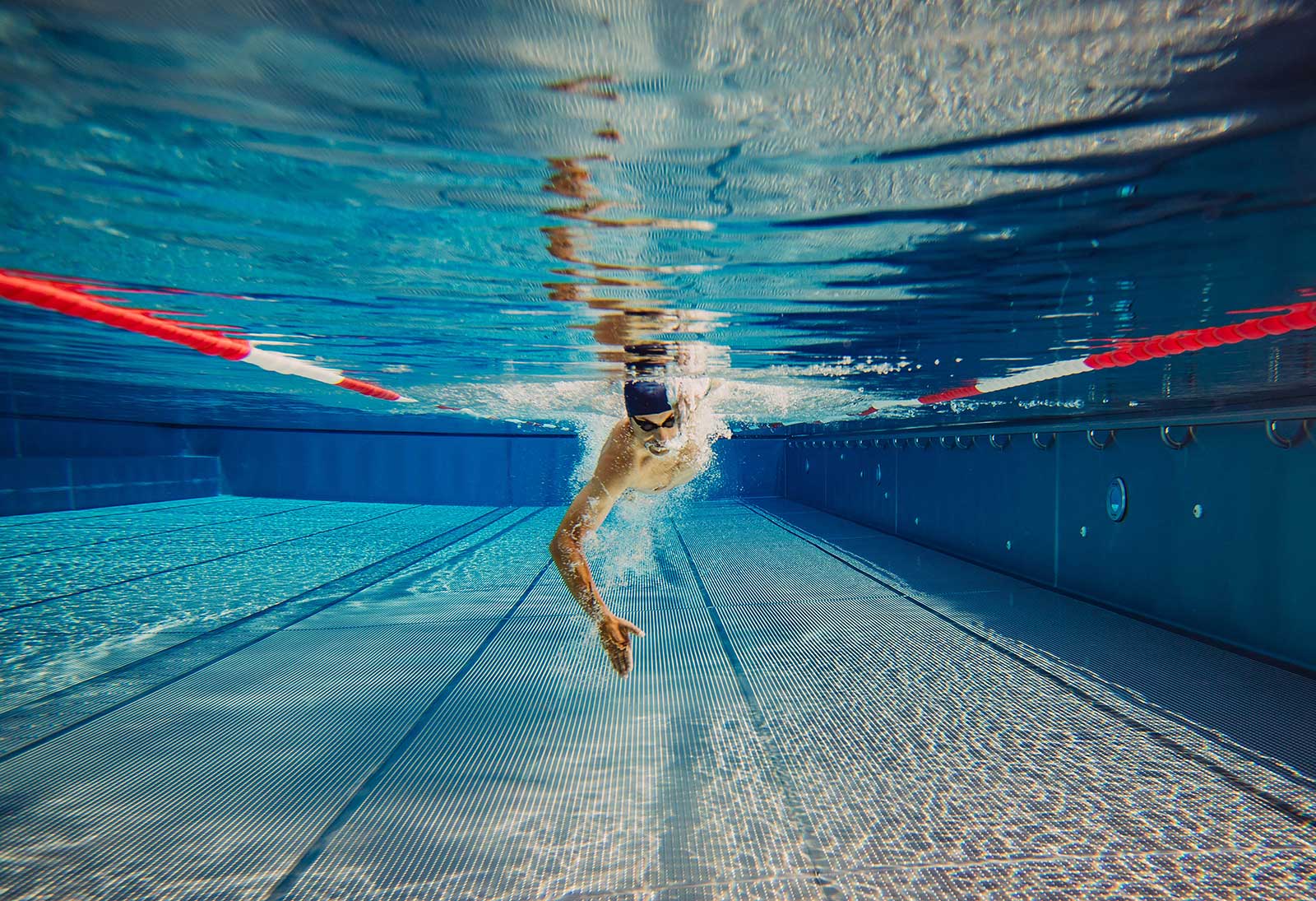 Karl Schrotter | Green Panther 2023