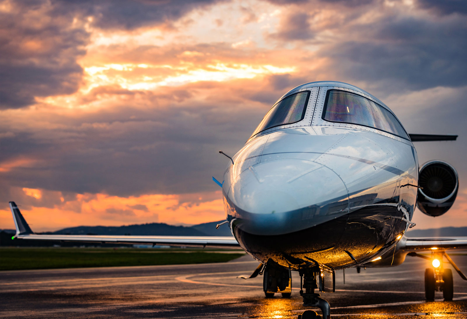 Karl Schrotter | Green Panther 2025